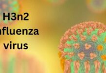H3N2: નવા વાઇરસની ઝપેટમાં દેશ, 6ના મોતથી હાહાકાર