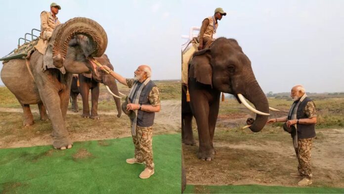 PM Modi with Elephant