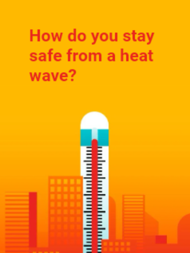 Beat the Heat: Stay Safe During a Heat Wave